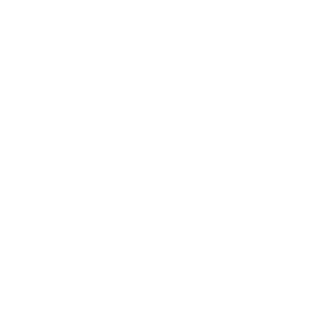 LOGOS AJUSTATS_Mesa de trabajo 1 copia 16